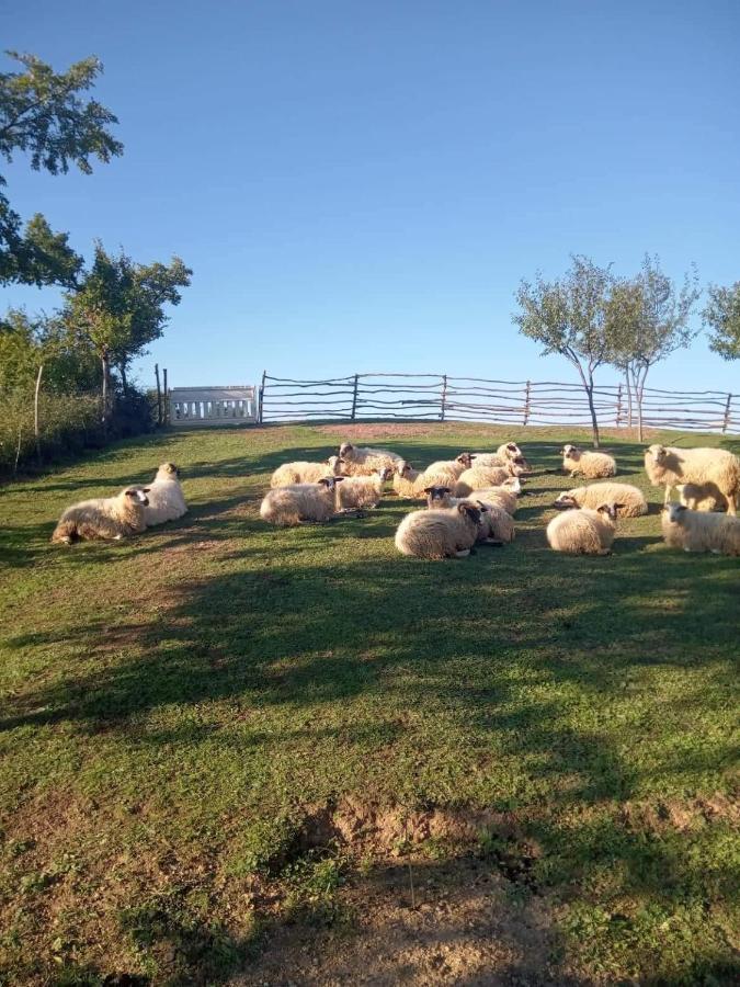 Chez Marthe, Organic Farm Stay Knin Dış mekan fotoğraf