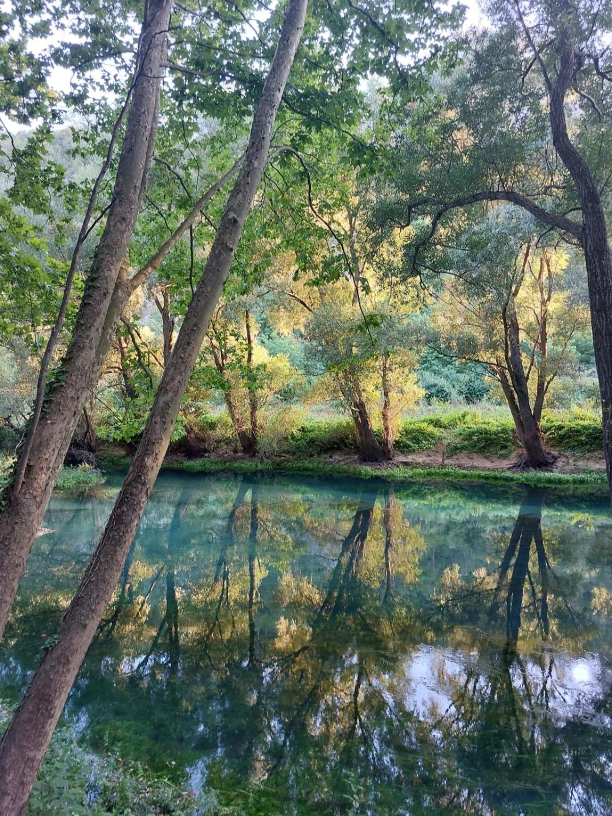 Chez Marthe, Organic Farm Stay Knin Dış mekan fotoğraf