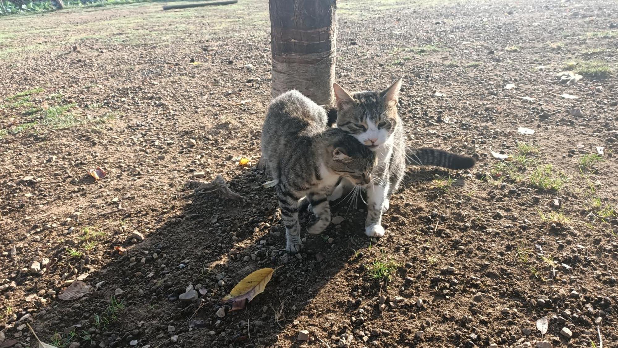 Chez Marthe, Organic Farm Stay Knin Dış mekan fotoğraf